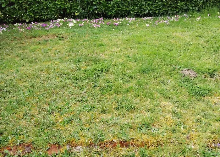 Bibi Appartement Cransac