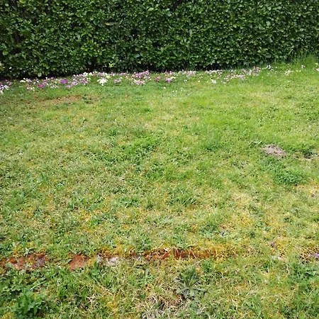 Bibi アパート Cransac